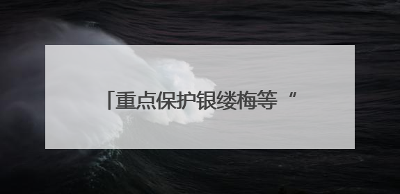 重点保护银缕梅等“国宝”，不得擅自引进、释放或丢弃外来物种……江苏立法保护身边的生物“朋友圈”
